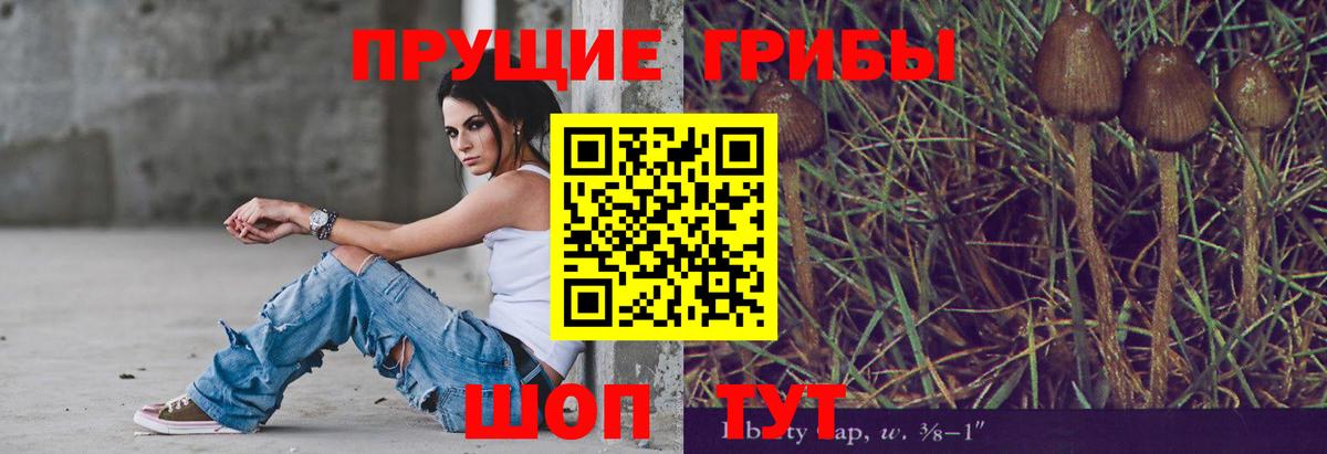 Псилоцибиновые грибы MAGIC MUSHROOMS Борисоглебск